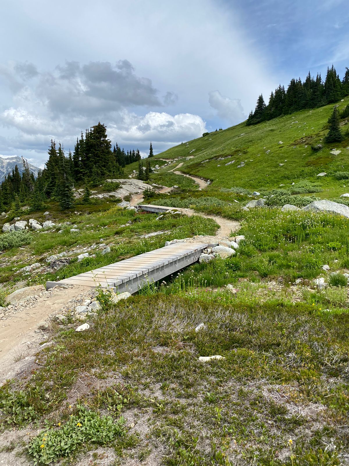 Whister 2024 | Racing Camp