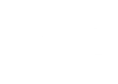 Performance Pro
