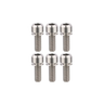 Set of six silver metal screws on a white background