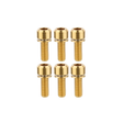 Set of six gold screws on a white background