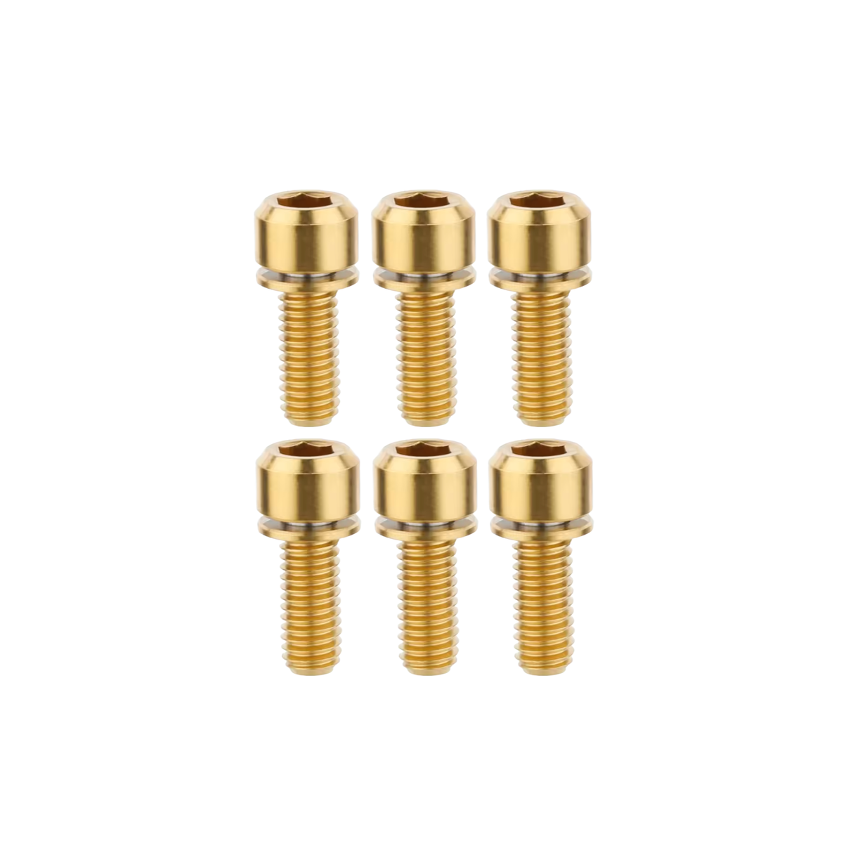 Set of six gold screws on a white background