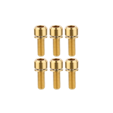 Set of six gold screws on a white background