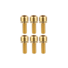 Set of six gold screws on a white background